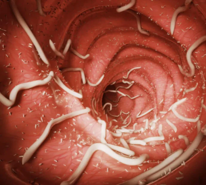 The Science Behind Clarexin
